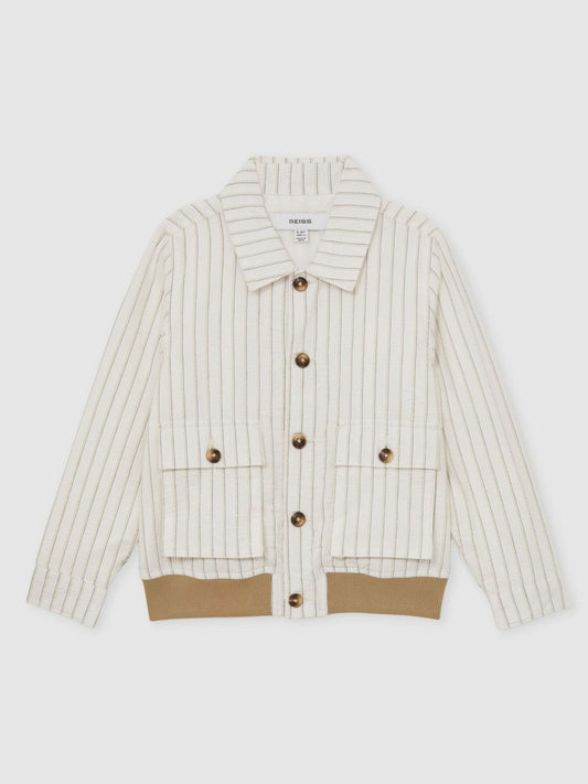 13-14 yrs Cotton Pinstripe Harrington Jacket Off White/Taupe Brown | Children